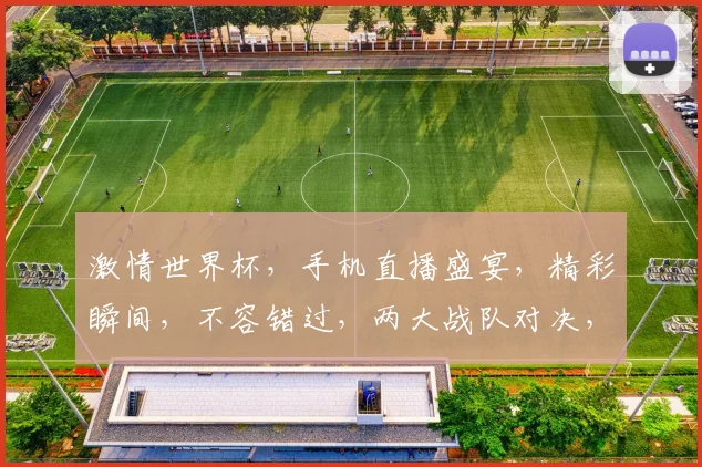 激情世界杯，手机直播盛宴，精彩瞬间，不容错过，两大战队对决，实时观看，共享狂热