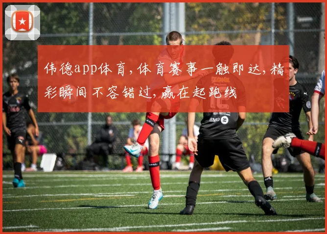 伟德app体育,体育赛事一触即达,精彩瞬间不容错过,赢在起跑线